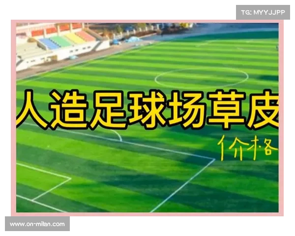 多伦多蓝鸟队打造全球首座可开合人造草皮球场引领体育创新潮流