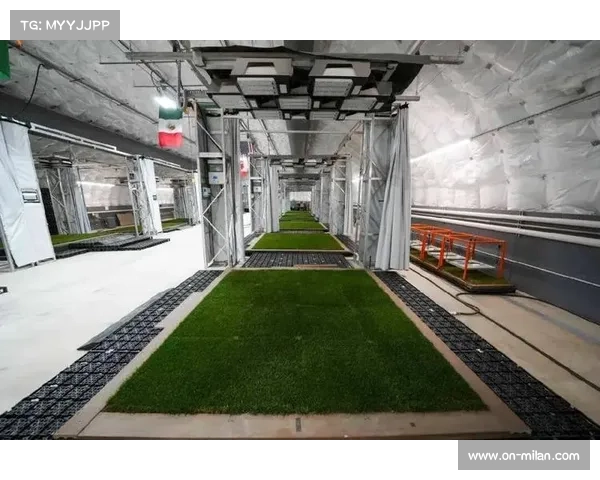 国际足联考察2026世界杯赛事场地，重点关注草坪质量